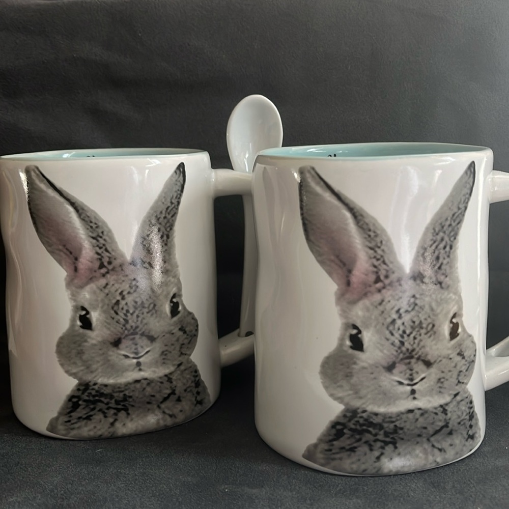 Two for one  Arlington Bunny  “Happy Spring” two mugs one spoon. Great shape.